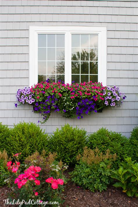 cheap window boxes ireland